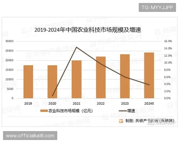深入分析凯发娱乐网址的市场现状与未来发展